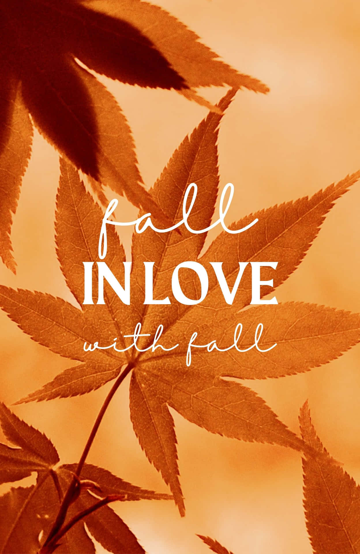 Take a stroll outdoors and enjoy the beauty of the best fall!