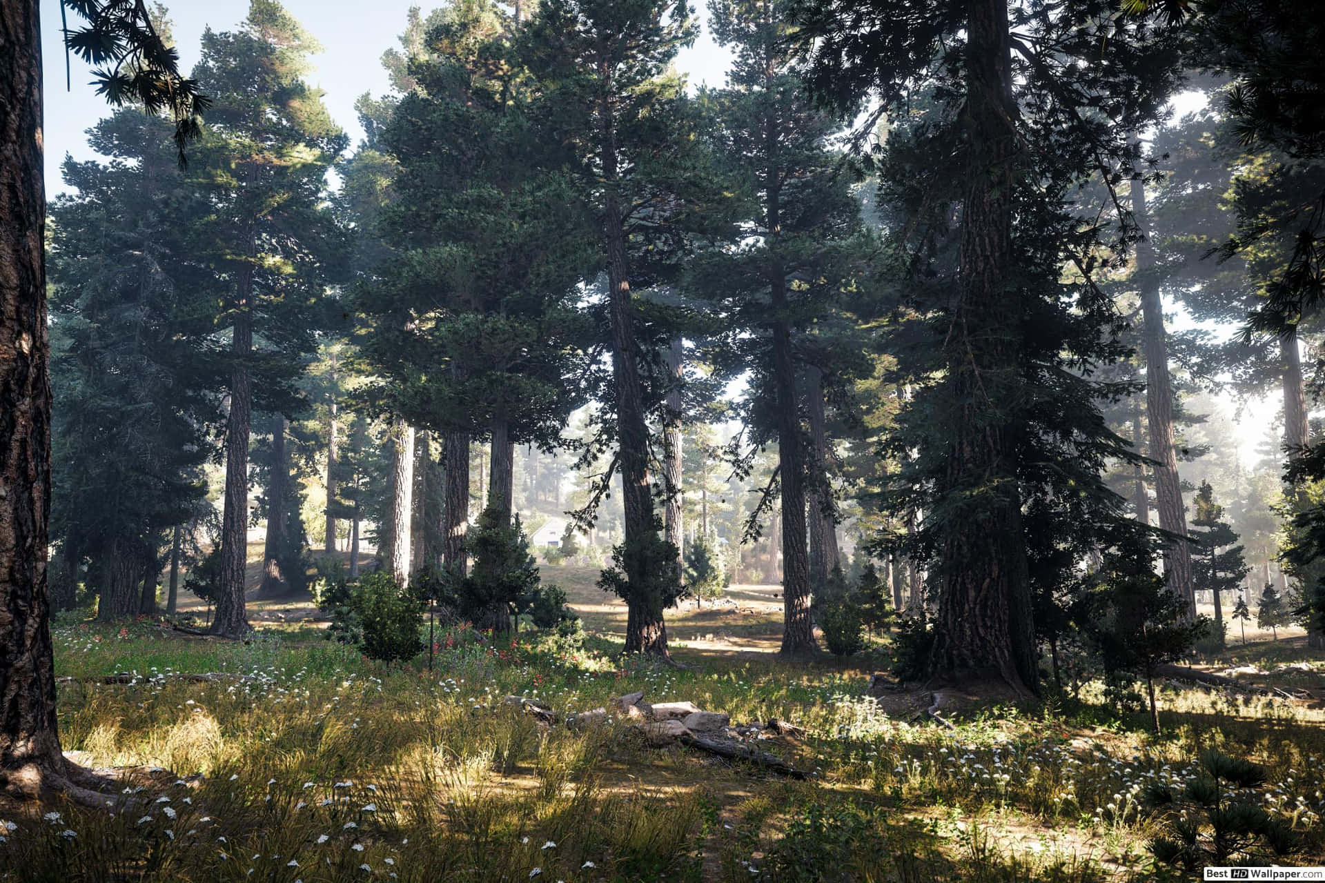 Amirala Bellezza Di Far Cry 5 In Autunno