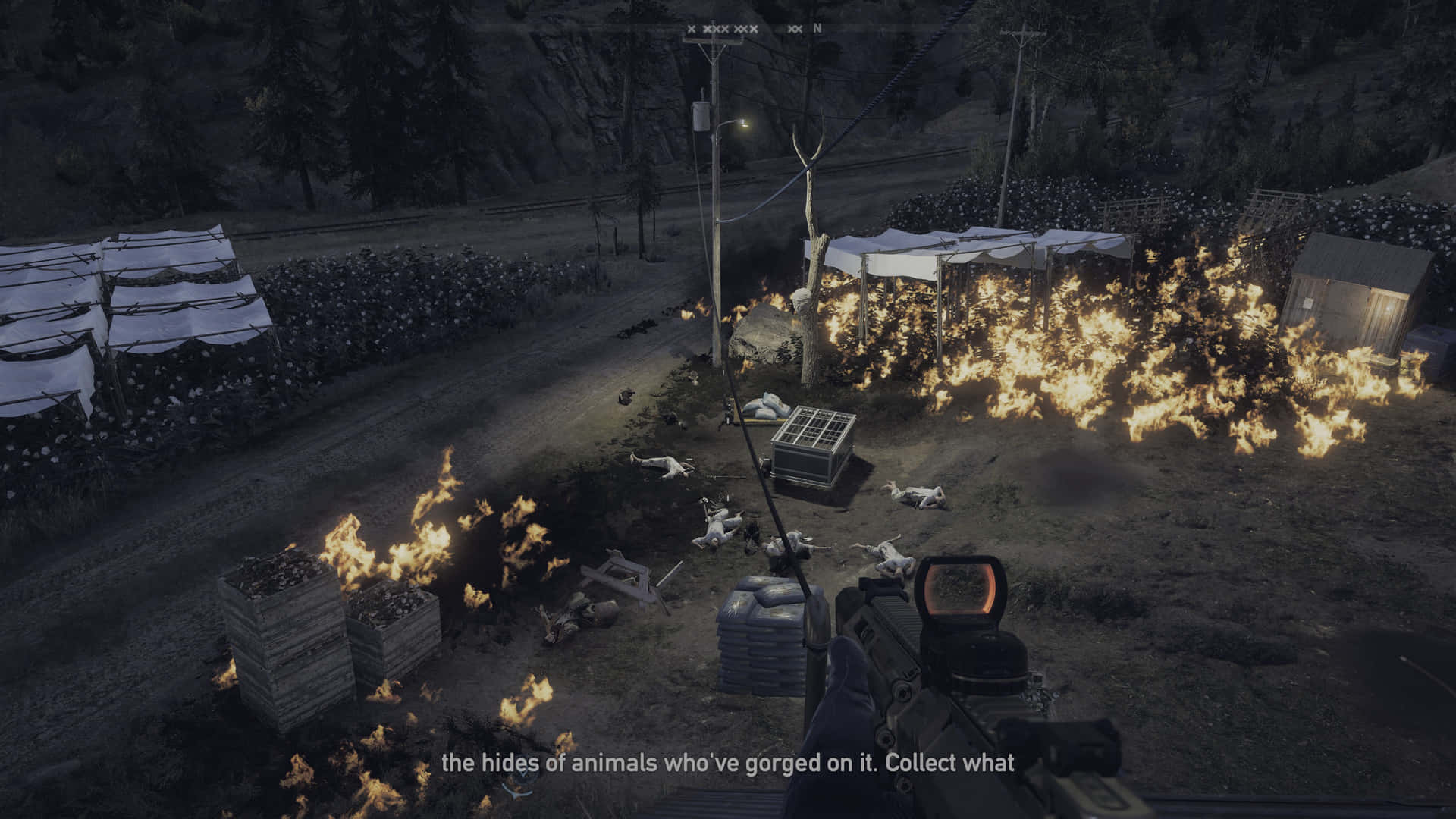 The Immersive World of Far Cry 5