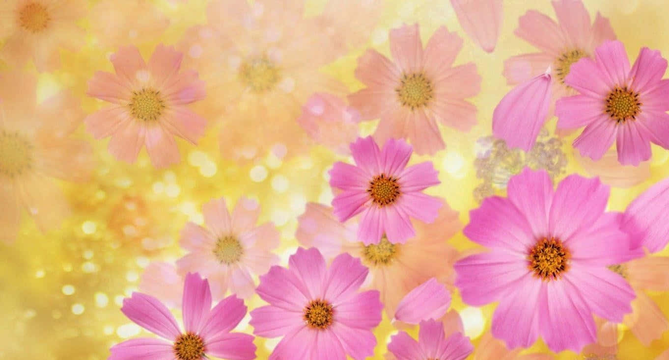 Golden Aesthetic Best Flowers Background