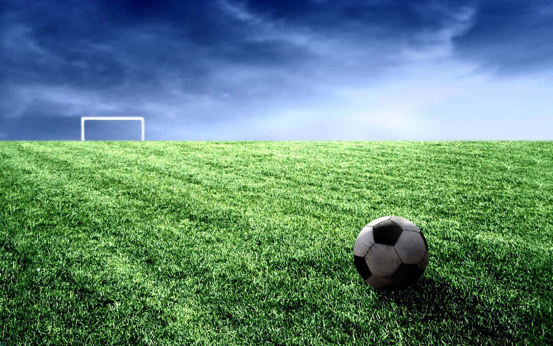 Soccer Ball In Green Grass Best Football Background