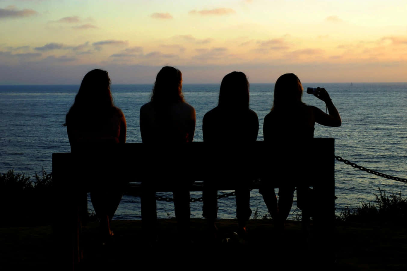 Best Friends On Bench Ocean View Picture