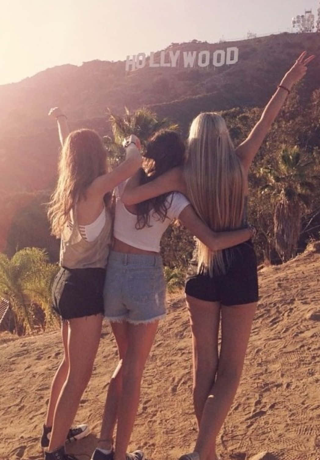 Best Friends At Hollywood Sign Picture