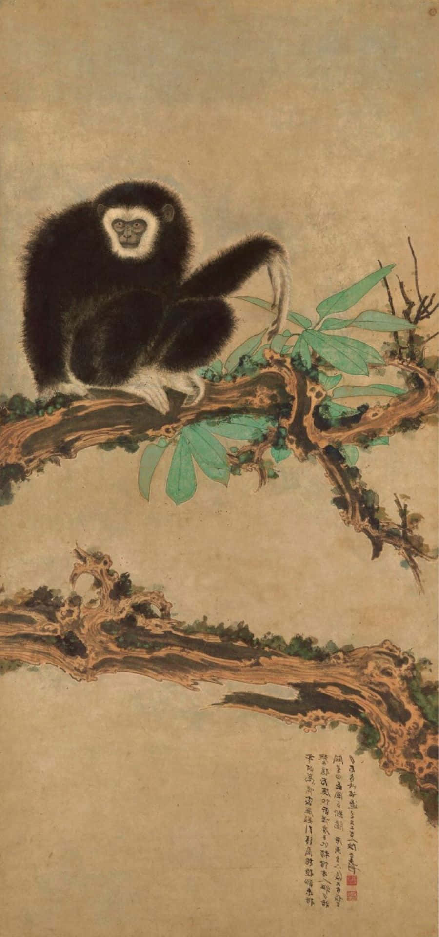 Kinesisk Kunst Bedste Gibbon baggrund