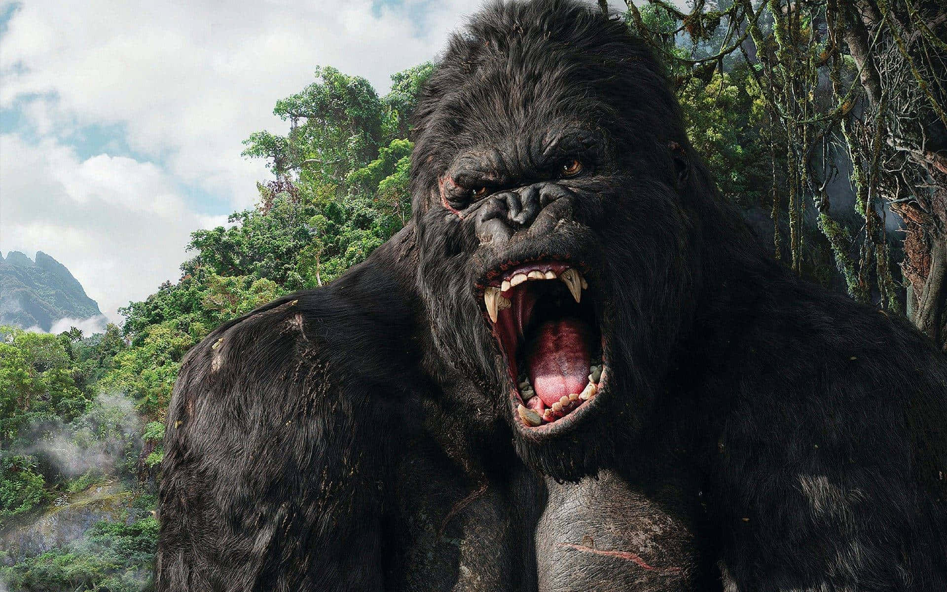 Ilruggito Di King Kong Miglior Sfondo Gorilla