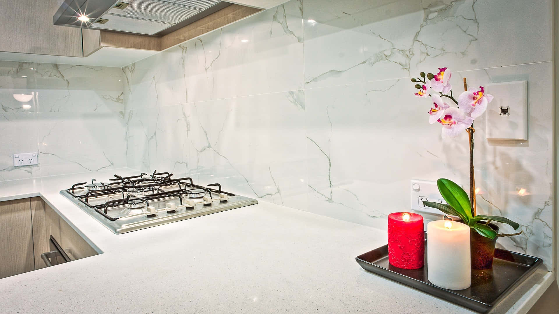 Hvide marmorerede vægge Bedste køkkener baggrund.