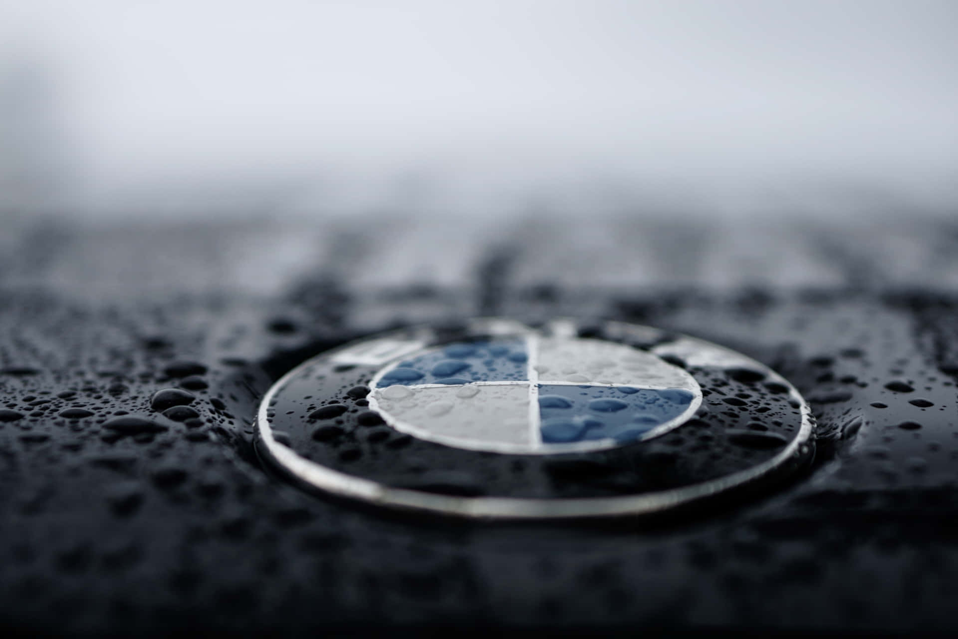 Experience the thrill of the BMW M Series up close