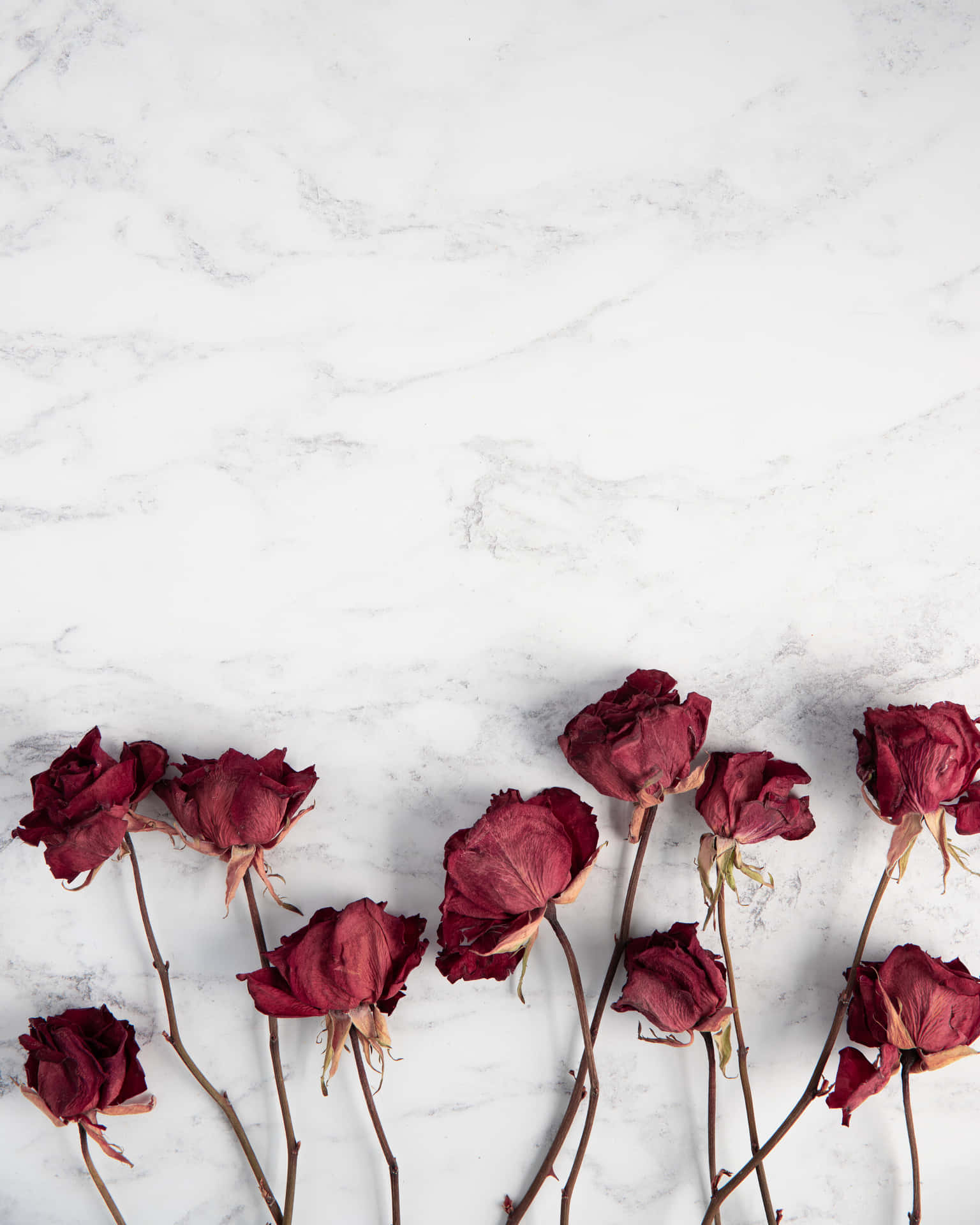 Red Roses Best Marble Background