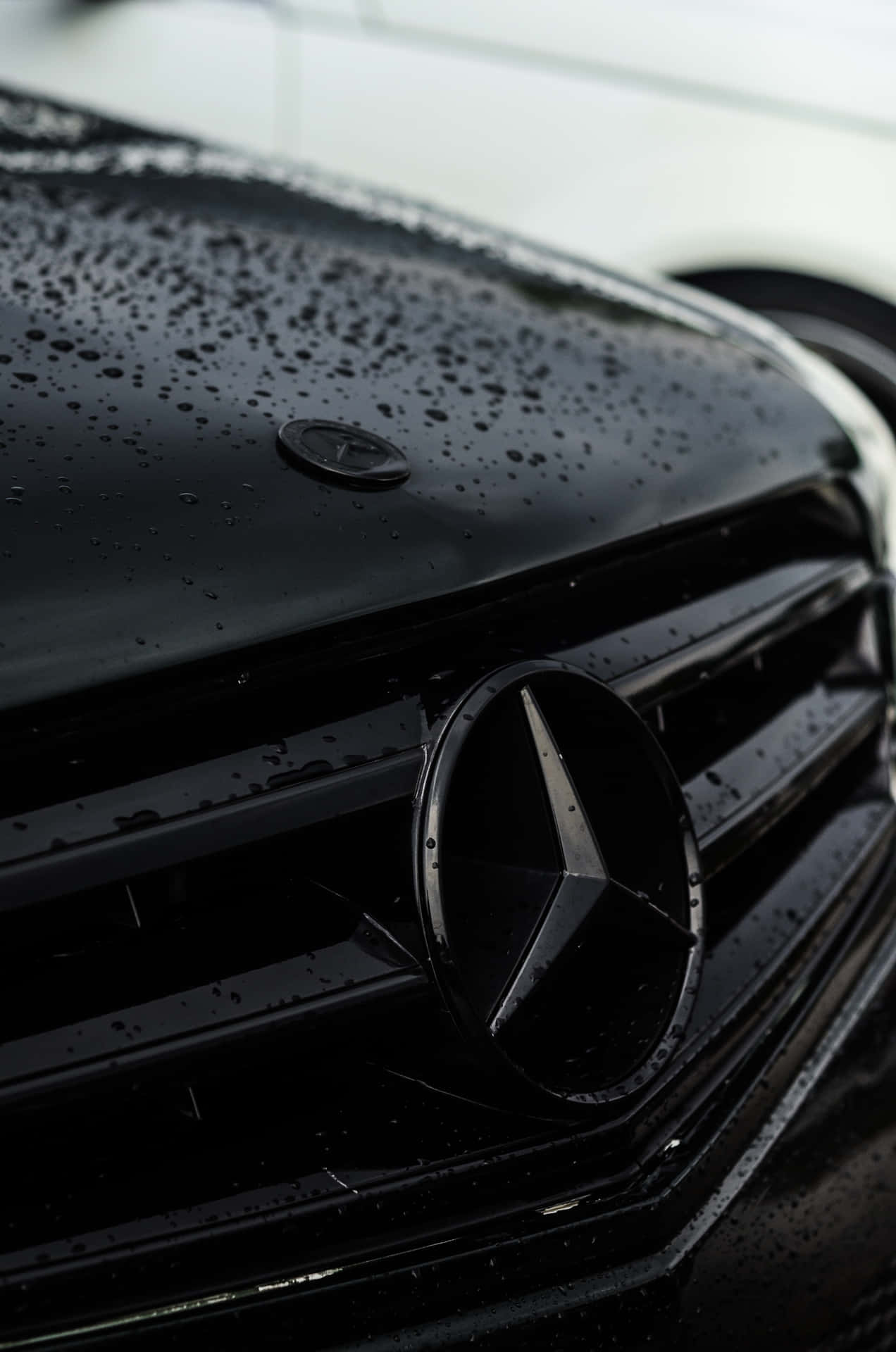 Best Mercedes Background Wet Front Bumper