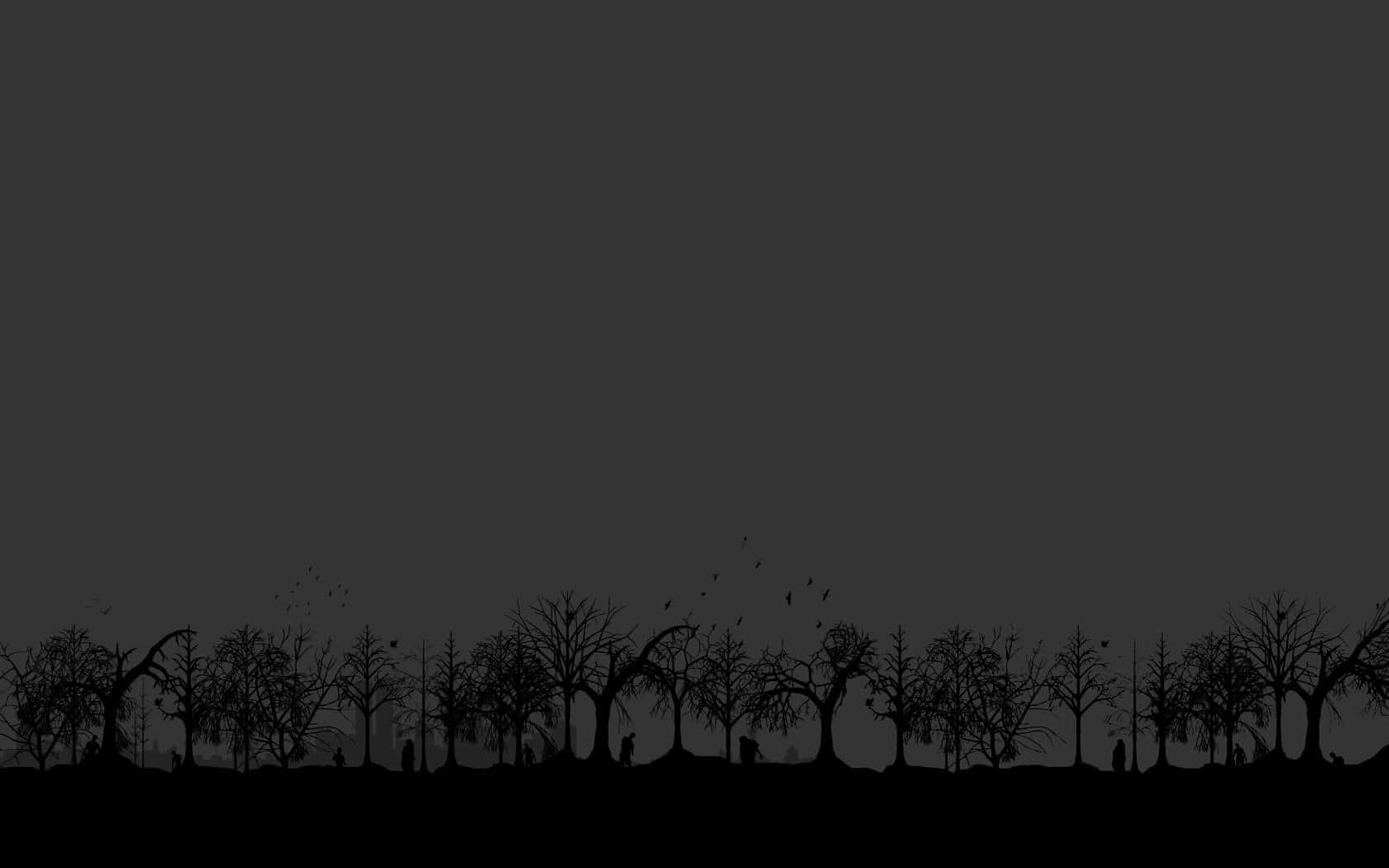 Best Minimal Dark Gray Forest Background