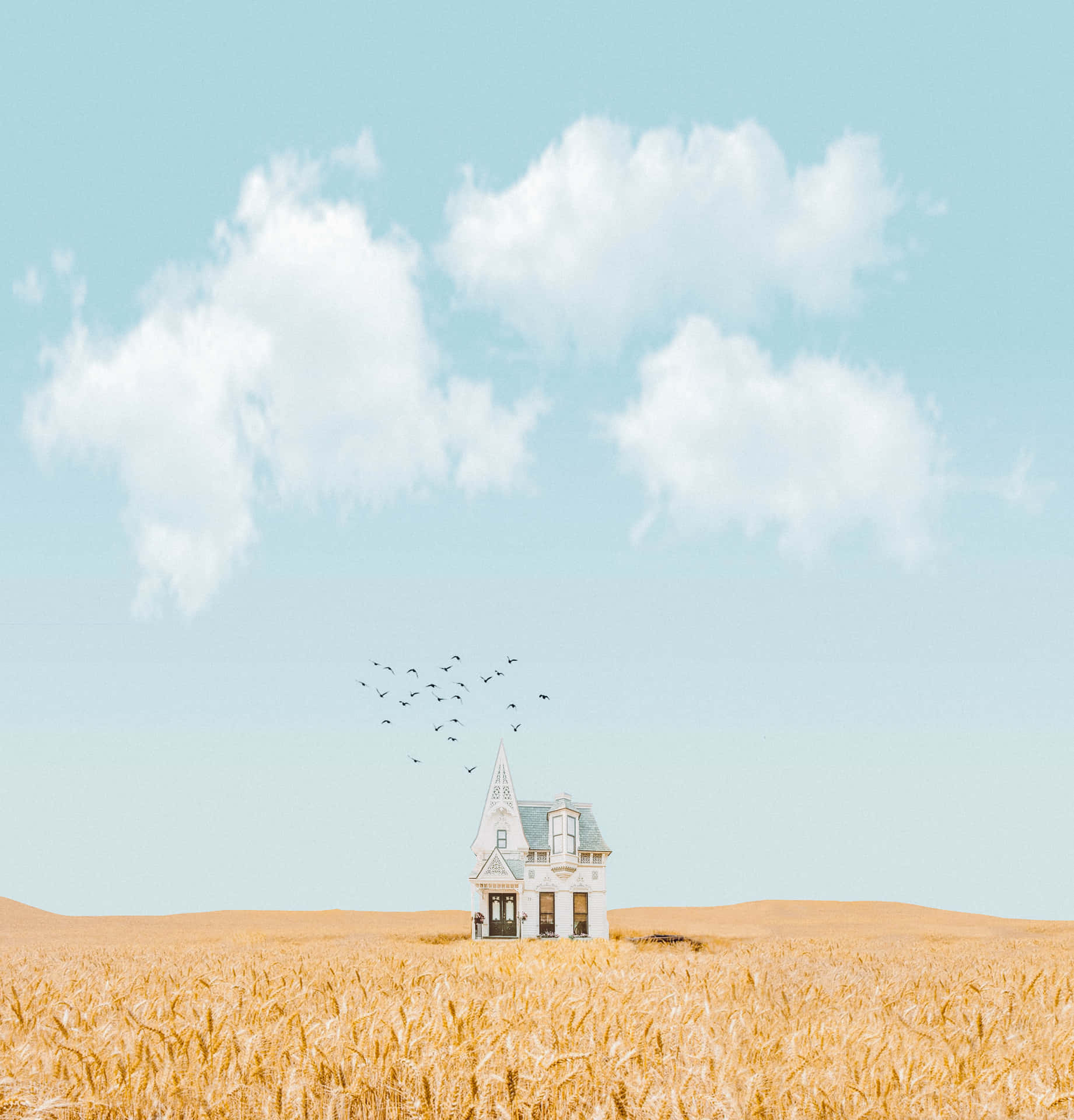Besteshintergrundbild Für Ein Minimalistisches Haus Im Feld