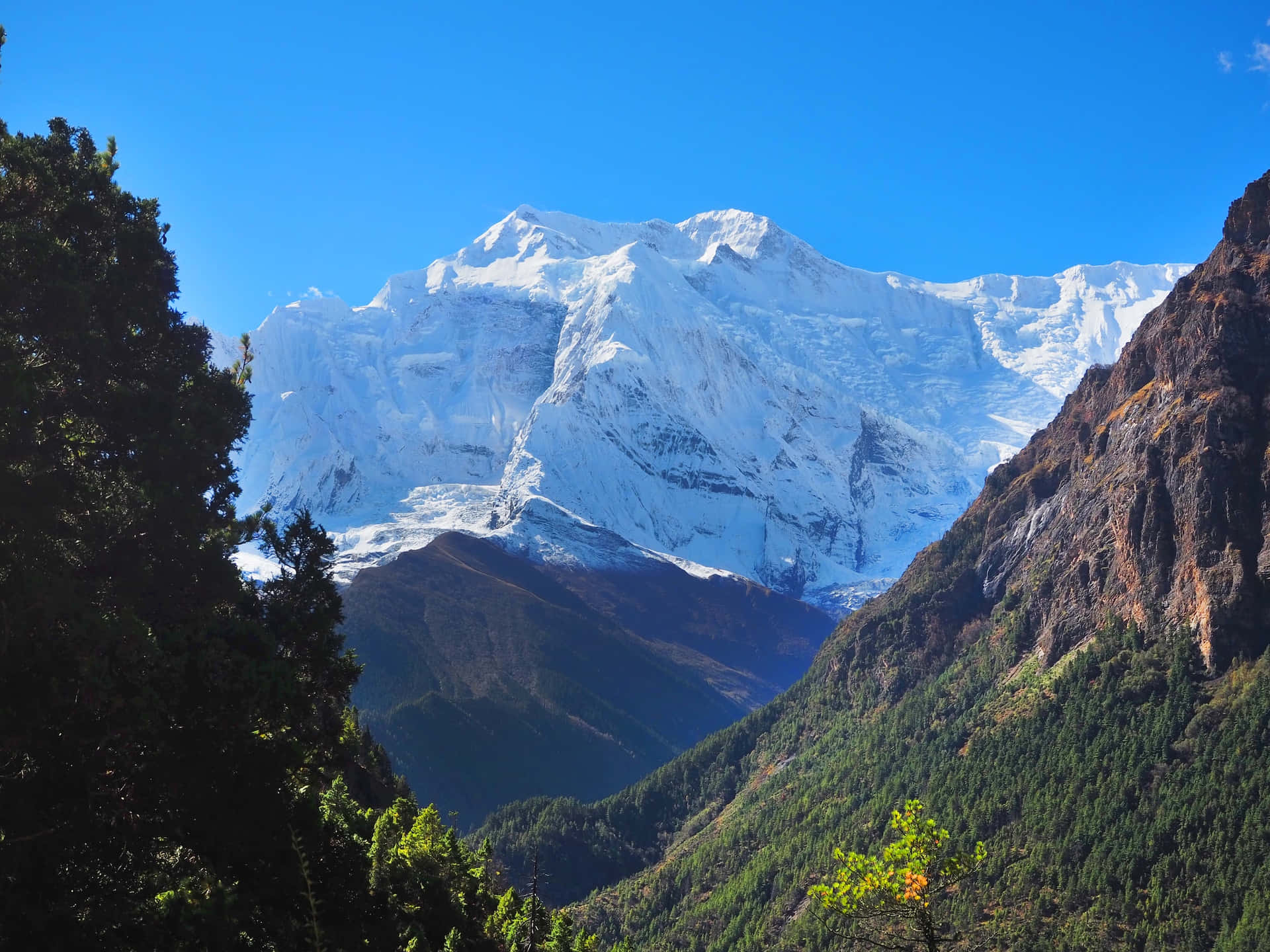 Mejorfondo De Pantalla De La Naturaleza Del Annapurna Iii En Nepal.
