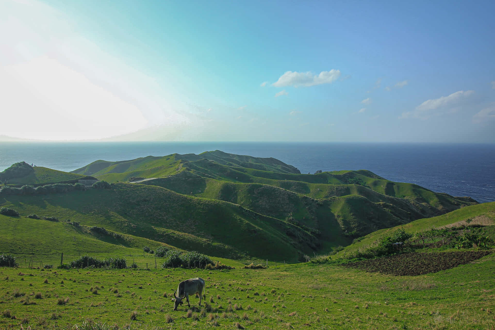 Best Nature Background Green Hill Of Batanes Background