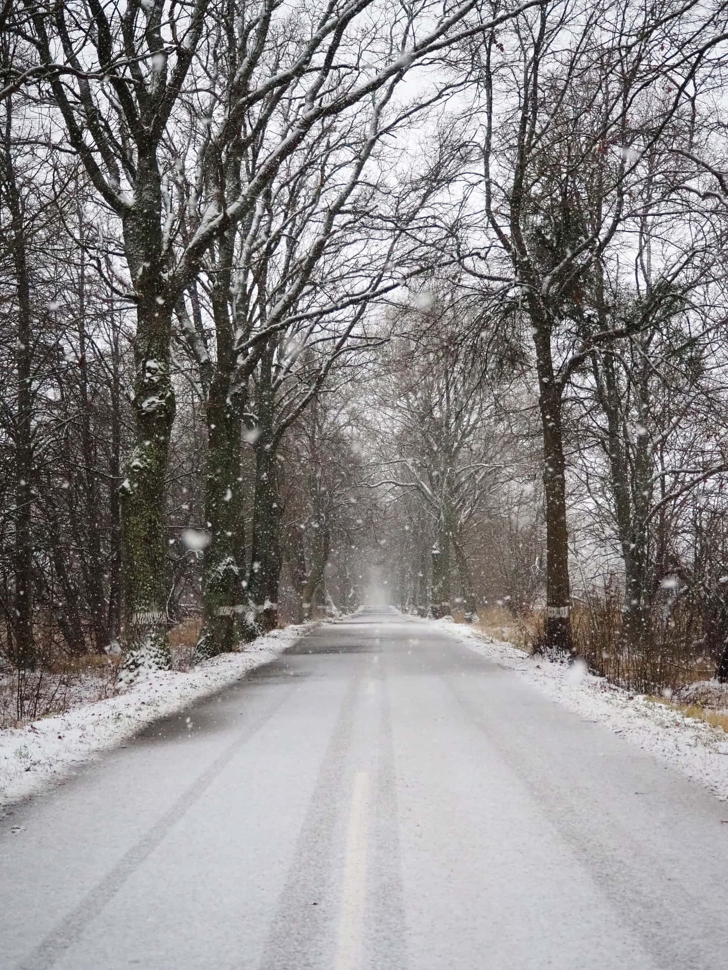 Best Nature Background Snowy Road