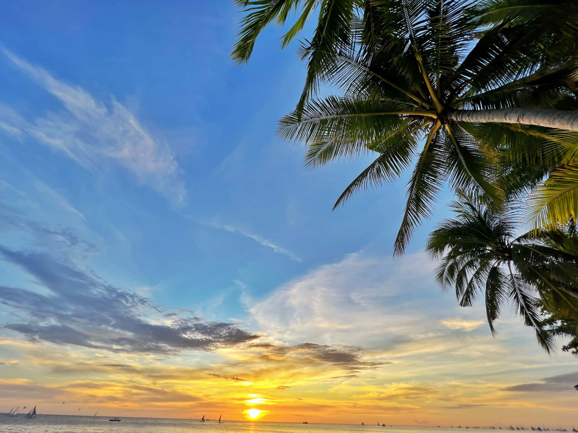 Best Nature Background Of Beach Sunset