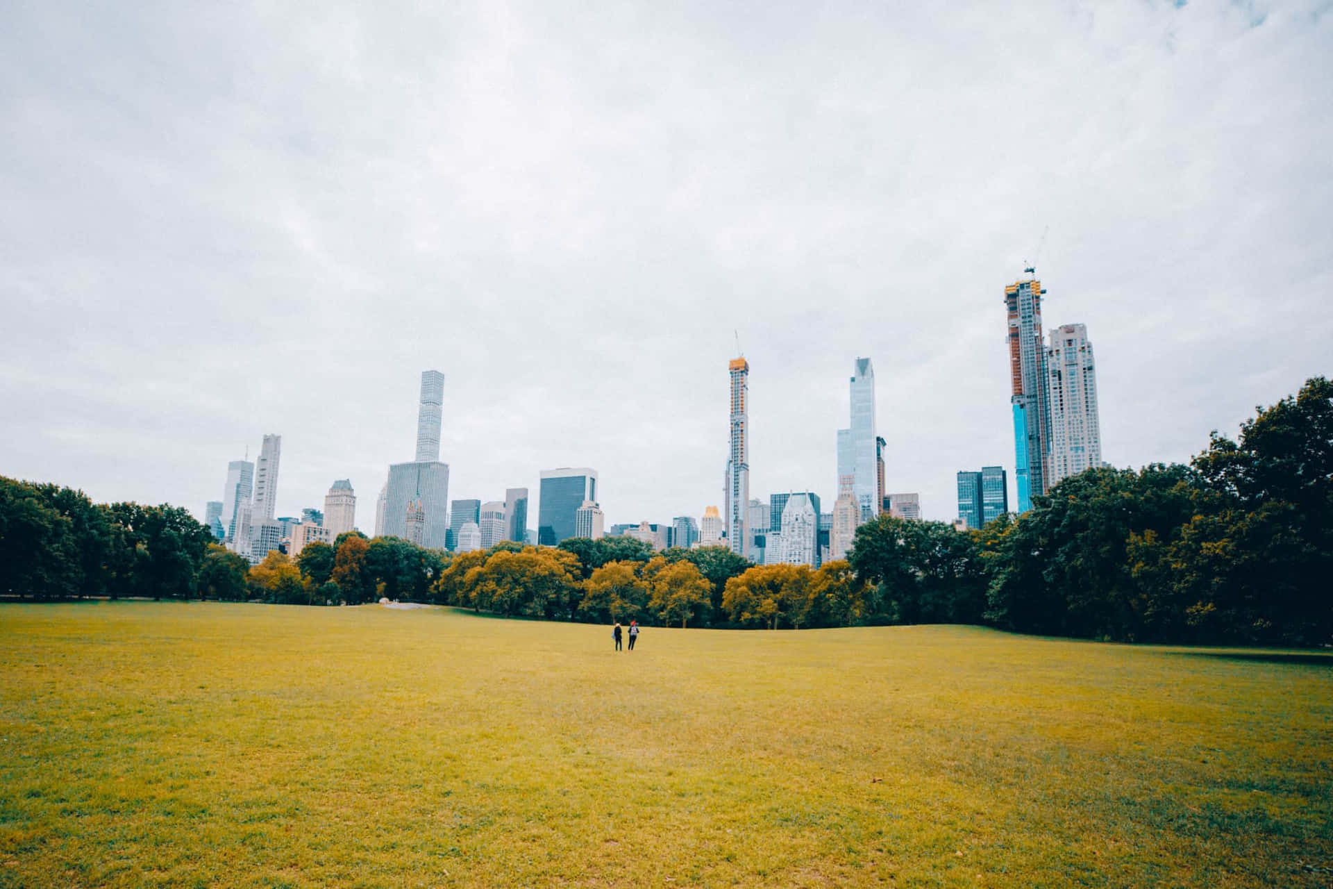 Fundodo Campo Do Central Park, A Melhor Opção Para Um Plano De Fundo De Nova York.