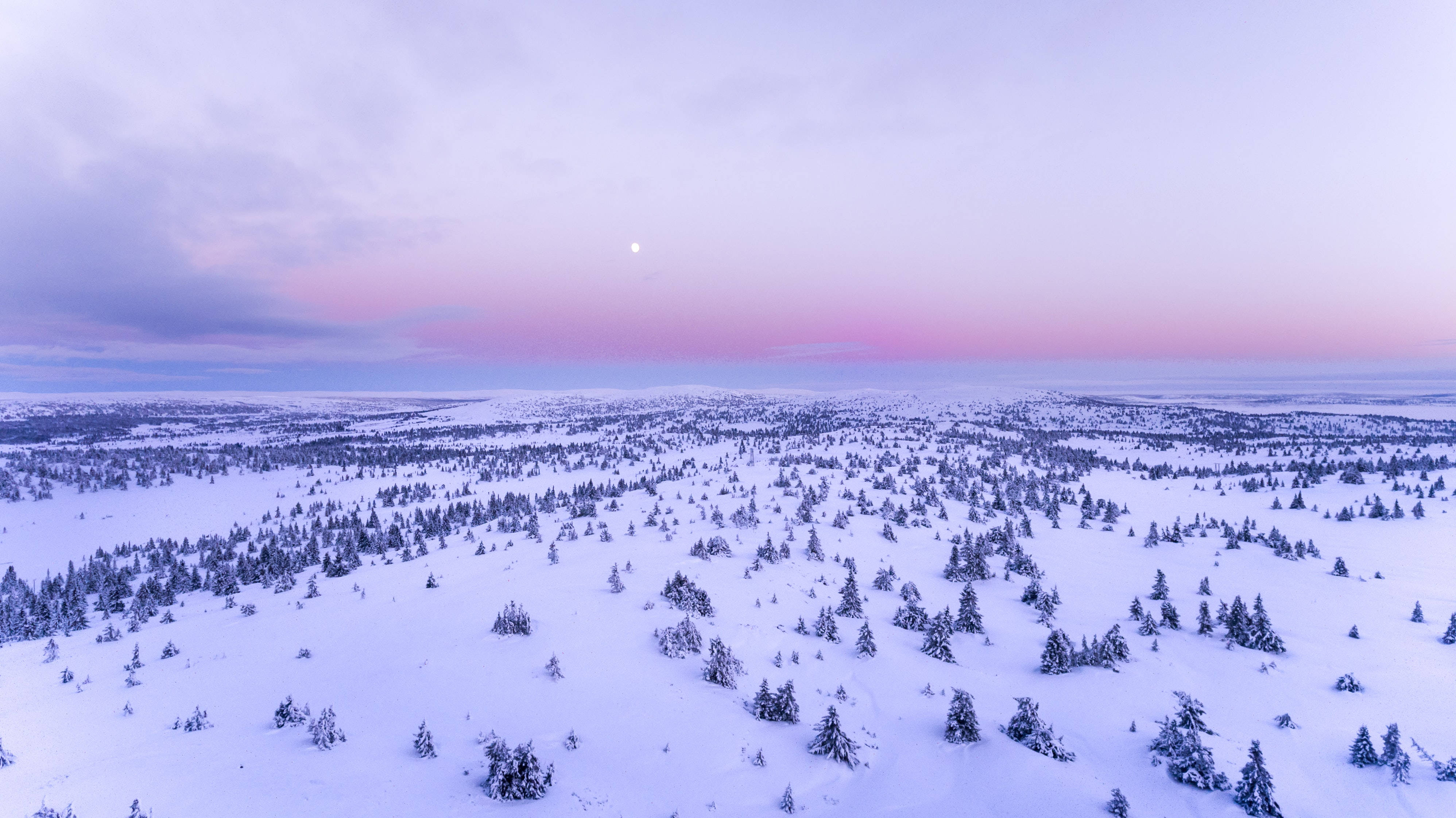 Best Quality Snow Covered Field Wallpaper