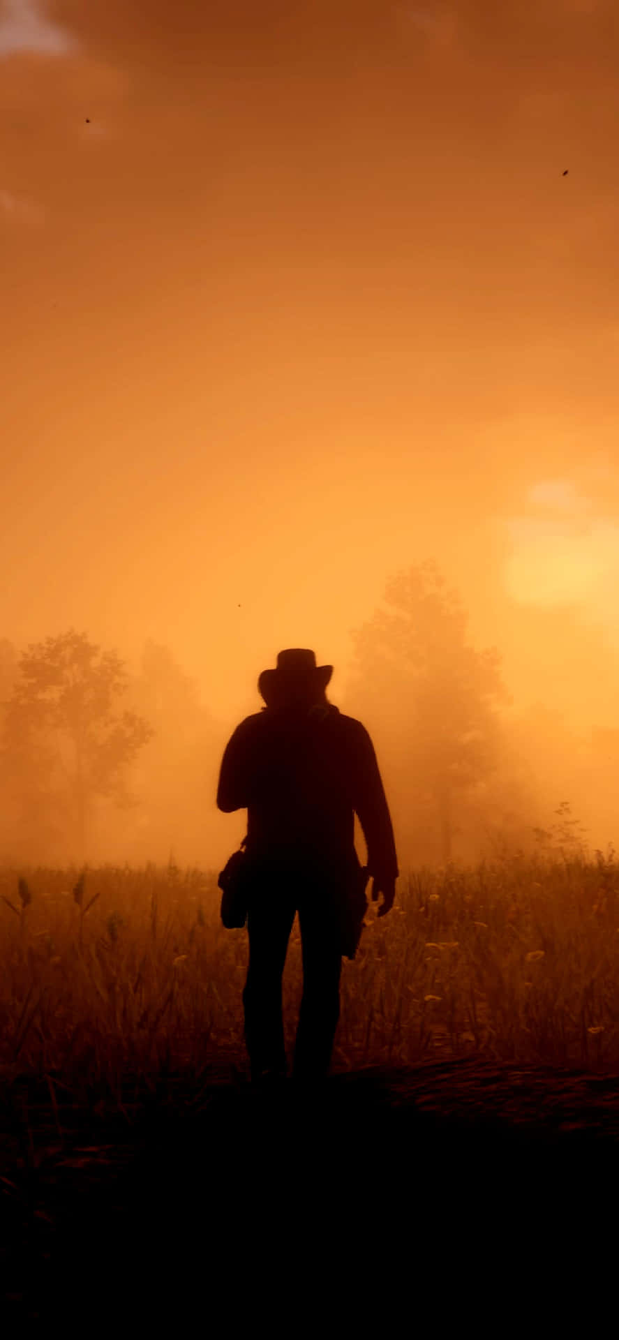 Best Red Dead Redemption 2 Arthur Morgan Turned To His Back Background