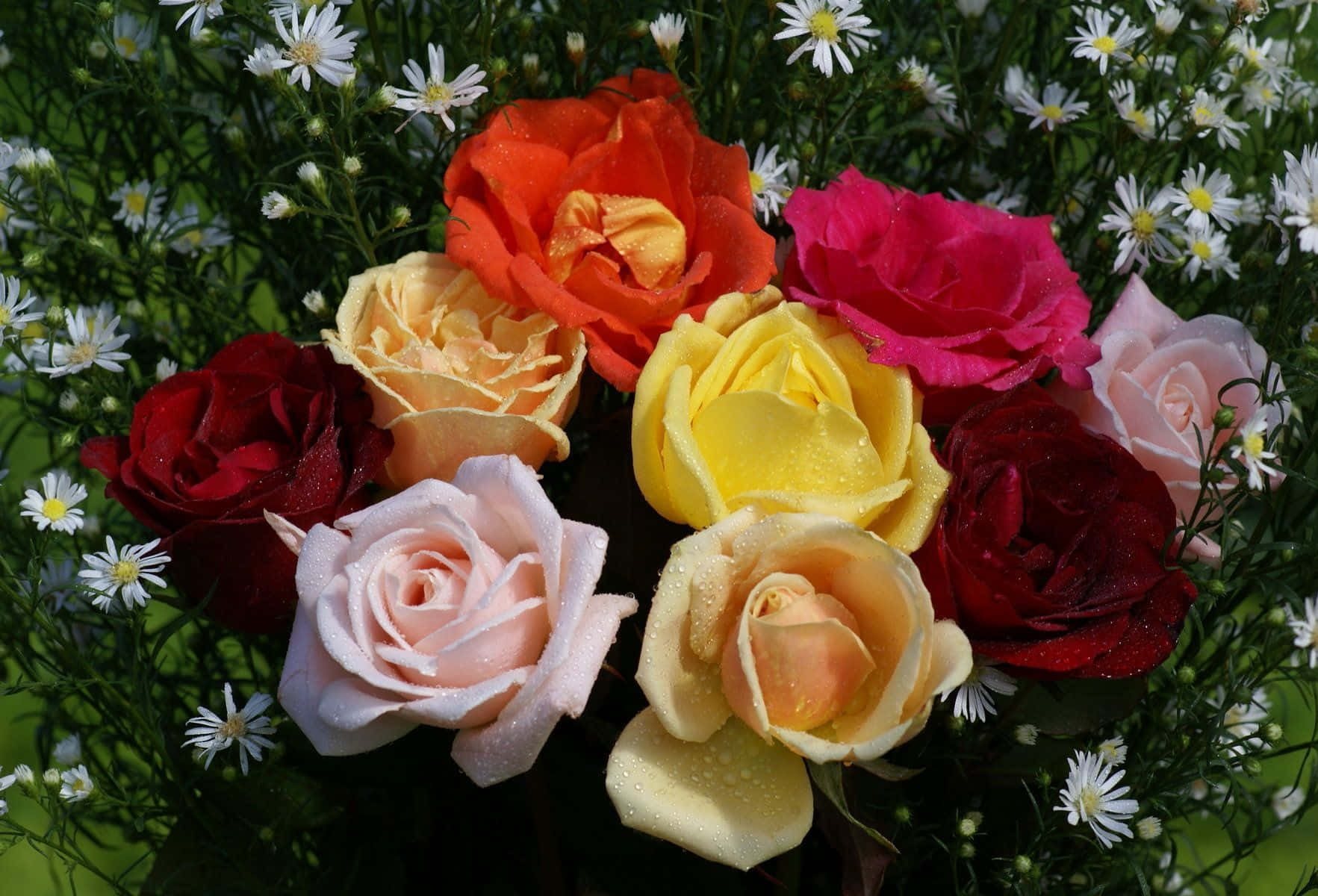 Fondode Pantalla De Bouquet De Flores Con Las Mejores Rosas.