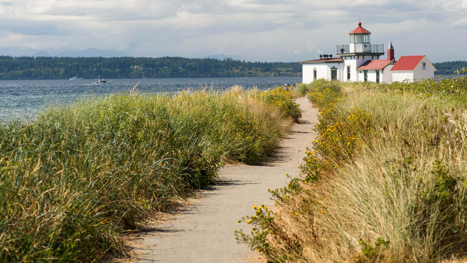 Discovery Park Best Seattle Background