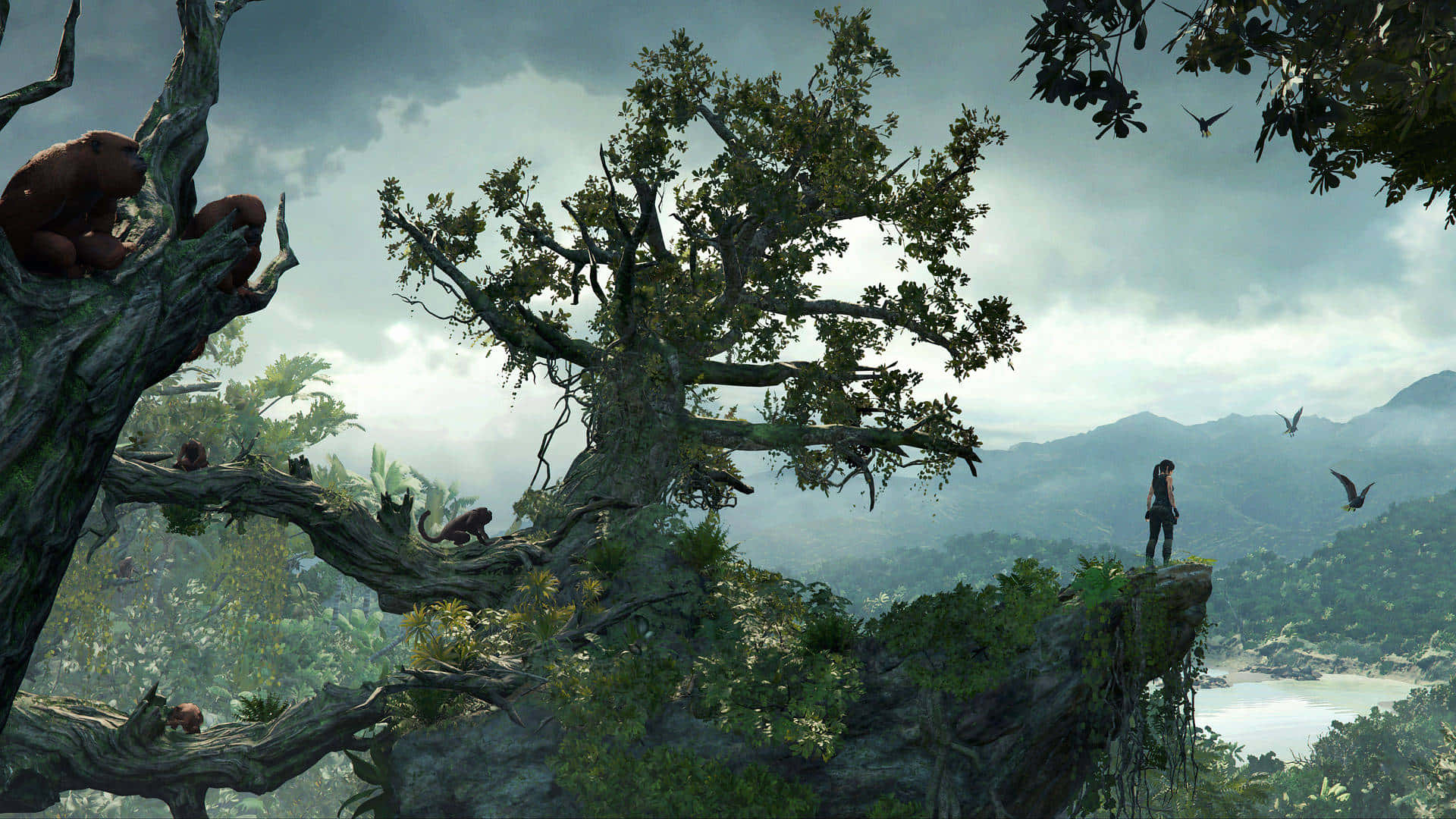 Einmann Steht Auf Einem Baum Im Dschungel.