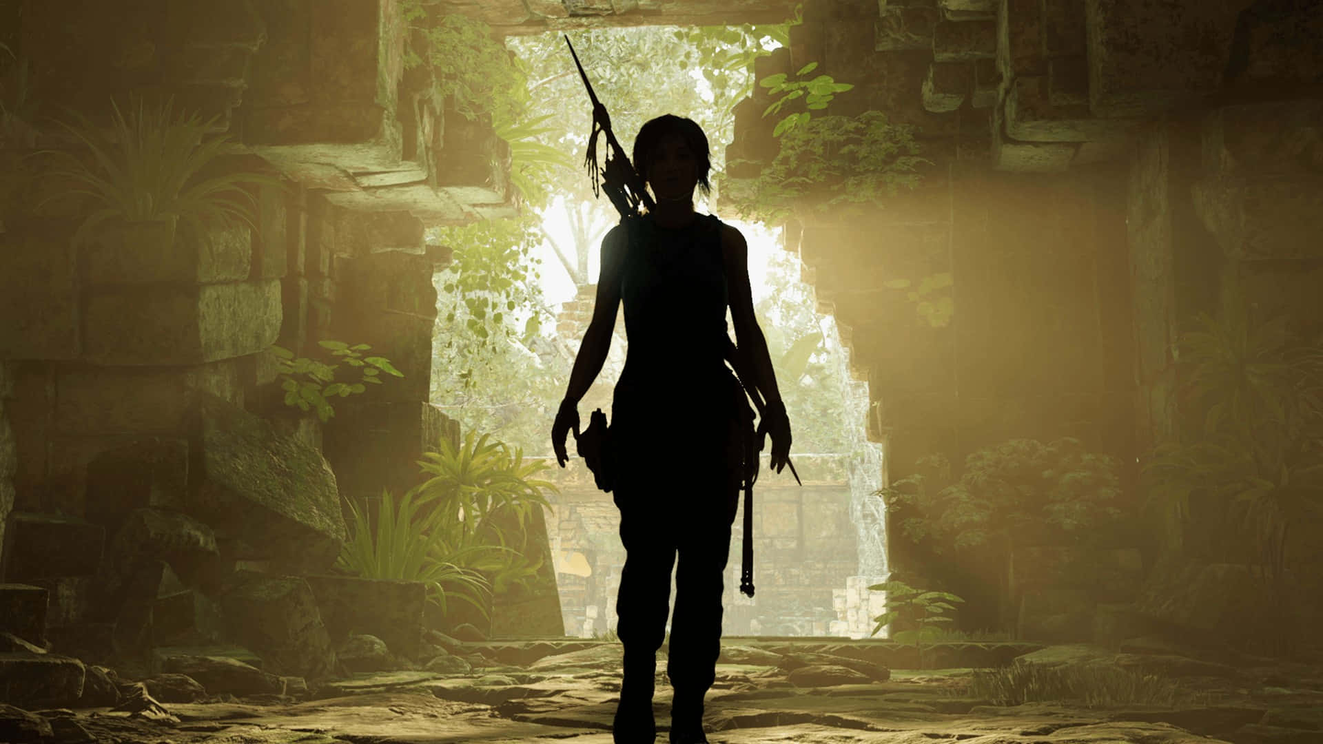Lara Croft Bedste Skygge af The Tomb Raider Baggrund