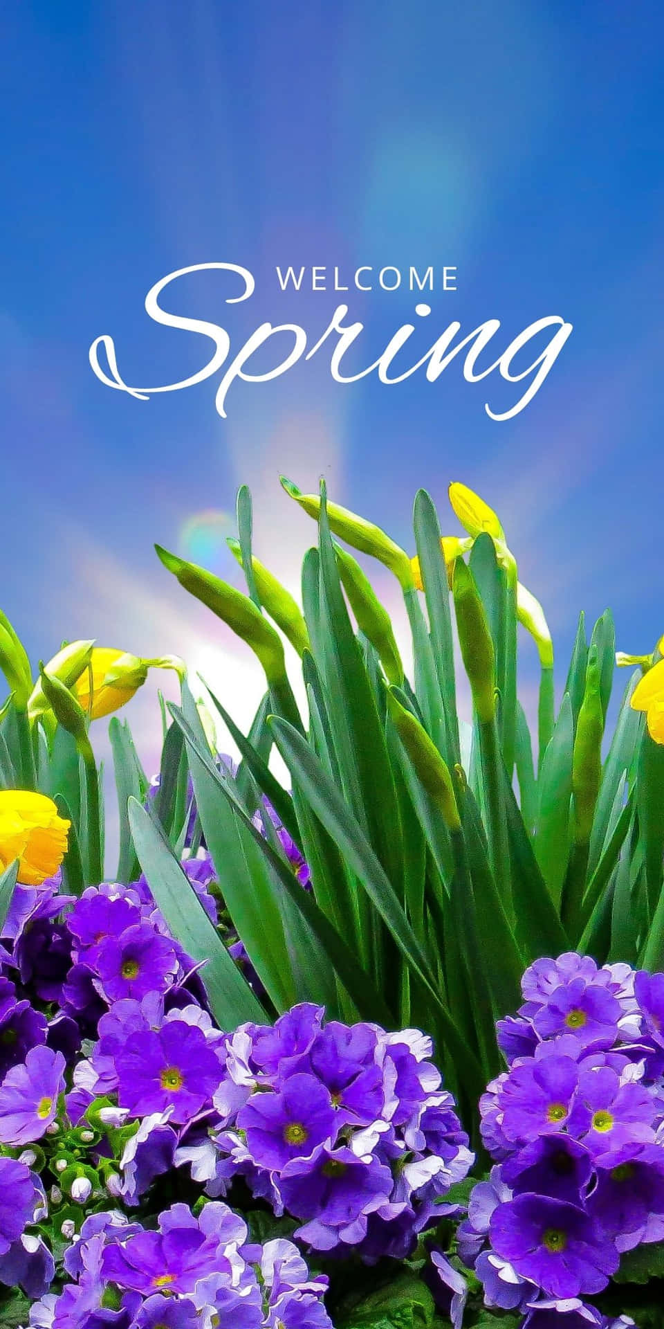 Welcome Spring Best Flower Background