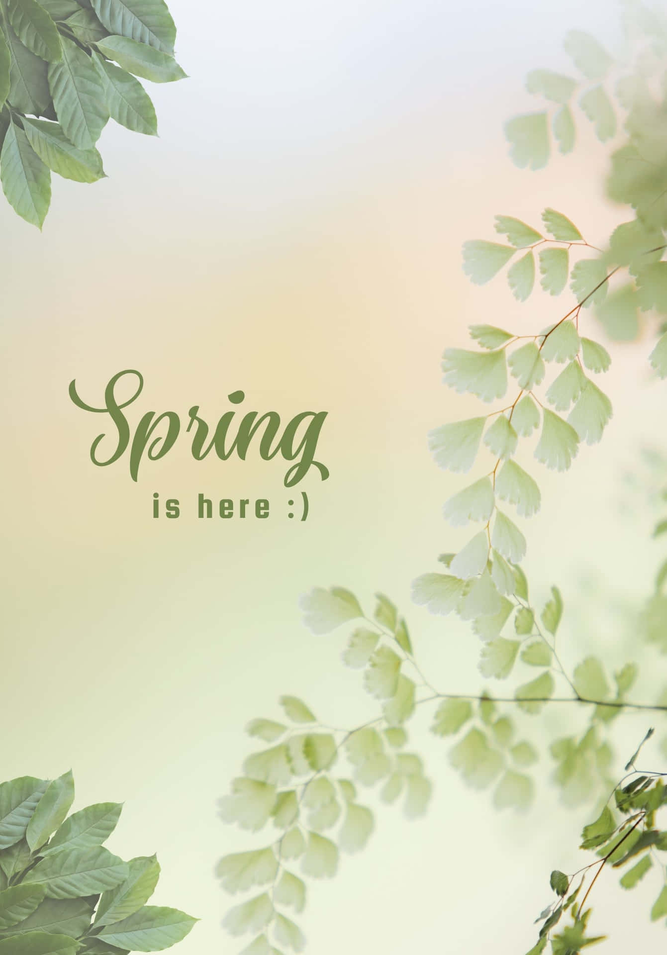 Minimalist Best Spring Green Leaves Background