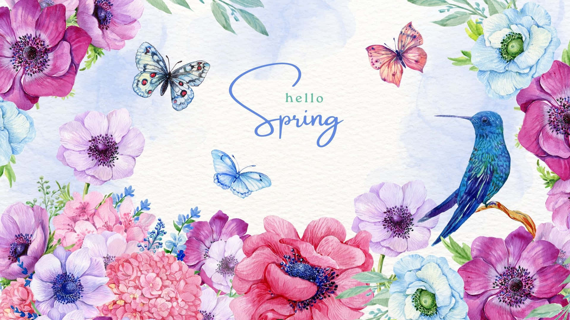 Hello Best Spring Birds And Flower Background