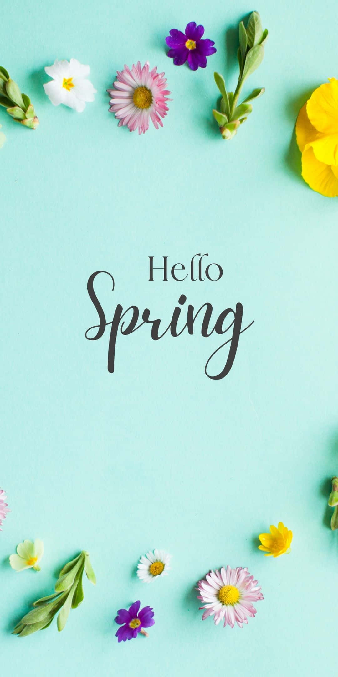 Simple Best Spring Assorted Flowers Background