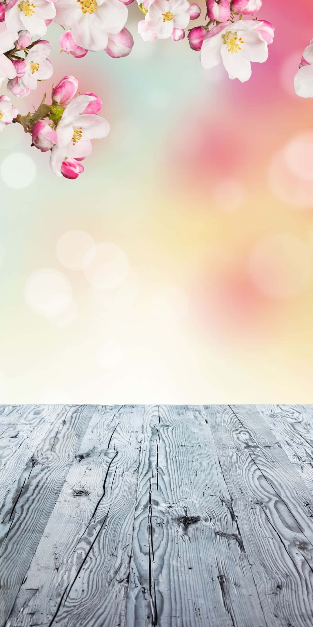 Best Spring Digital Pink Background