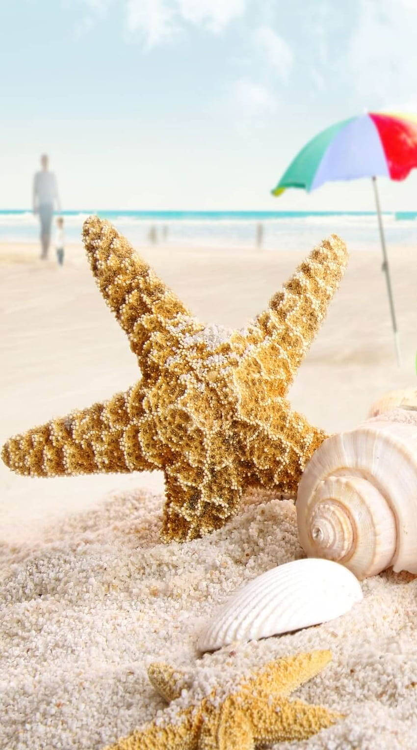 Estrellasde Mar Y Conchas En La Playa Con Una Sombrilla. Fondo de pantalla