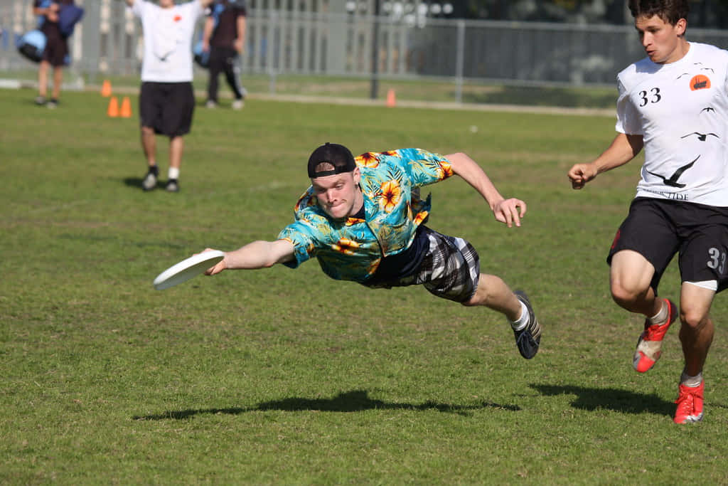 University Competition Best Ultimate Frisbee Background