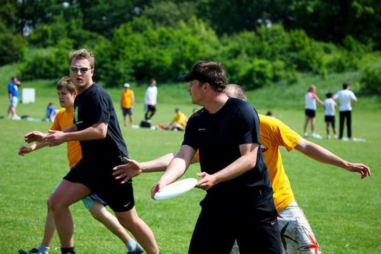 Schwarzesund Gelbes Team Bestes Ultimate Frisbee-hintergrundbild