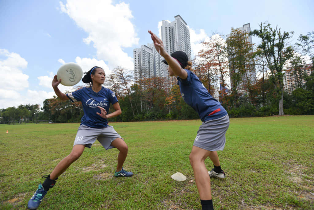 Chuckies Club Singapore Best Ultimate Frisbee Background