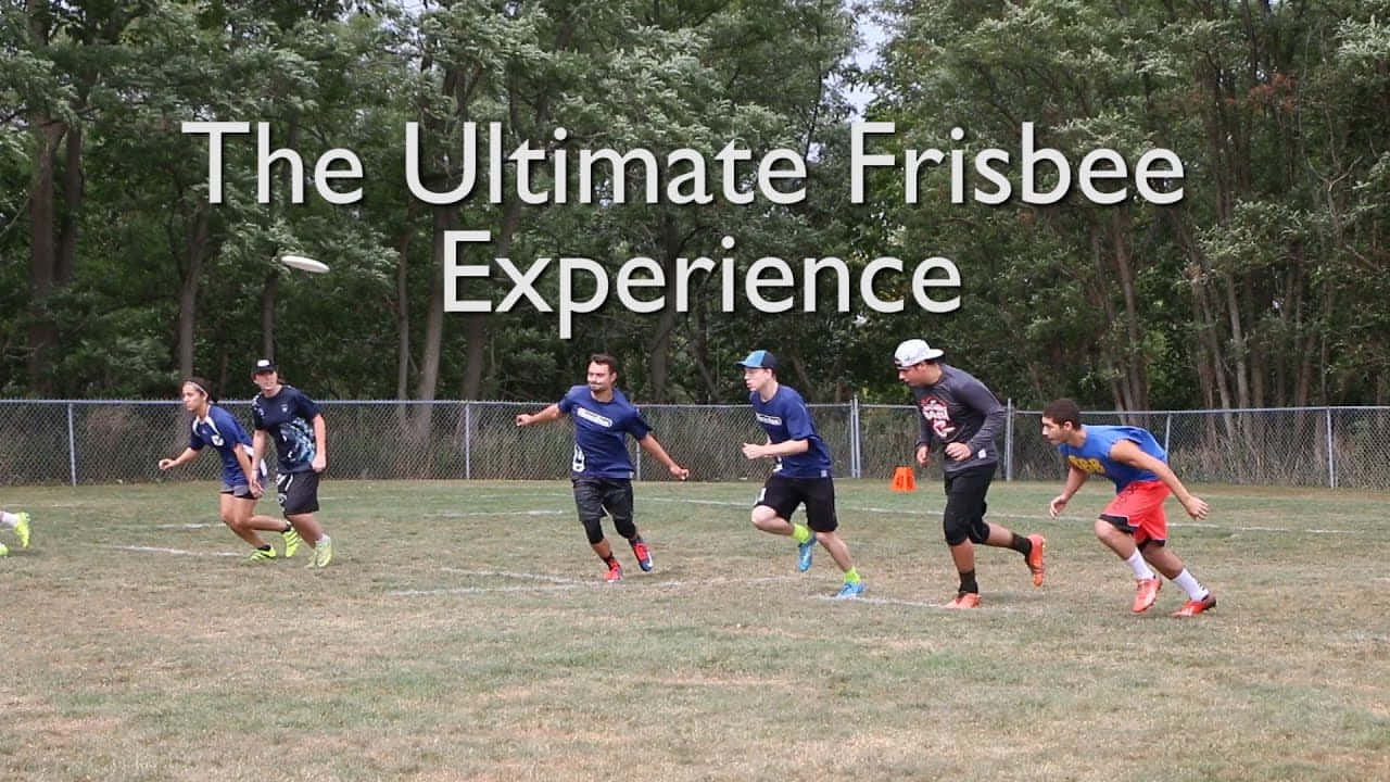 Ithacacollege-upplevelsen Bästa Ultimate Frisbee Bakgrundsposter