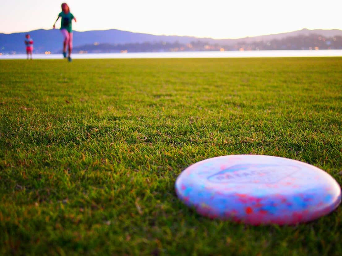 Scheibeauf Gras Beste Ultimative Frisbee-hintergrund