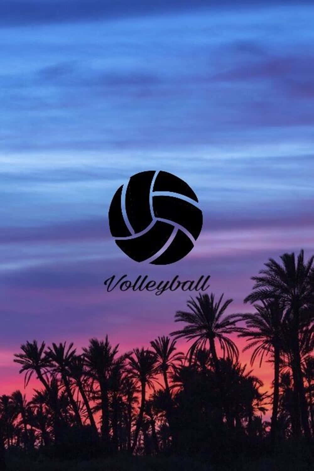 Bedste Volleyball Baggrund Dejlige Sky