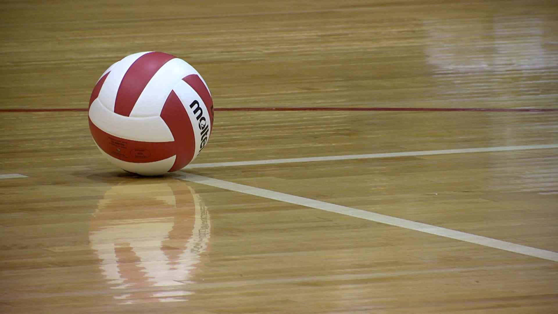 Best Volleyball Background Brown Floor