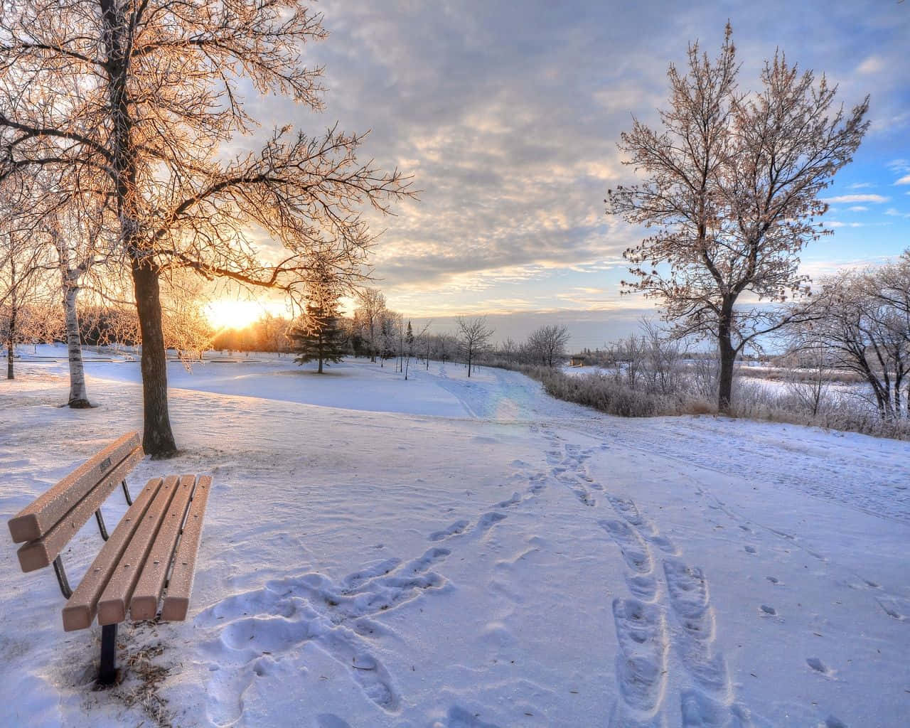 The Beauty of Winter: Enjoy a Nature Adventure This Season Wallpaper