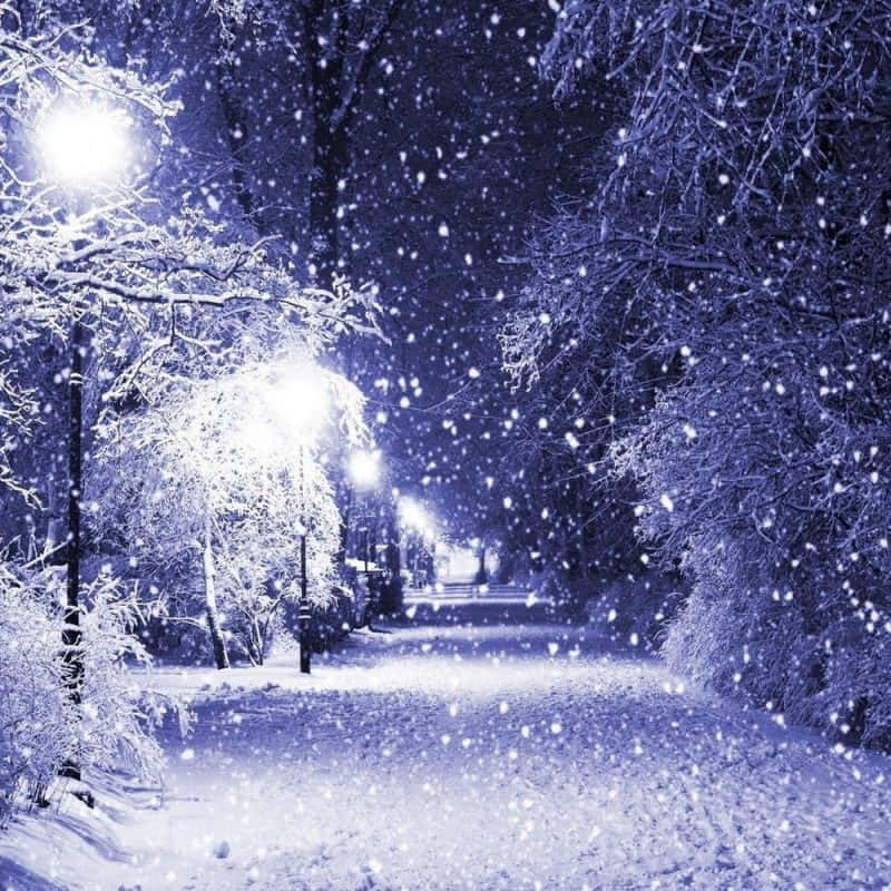 A Beautiful Winter Wonderland