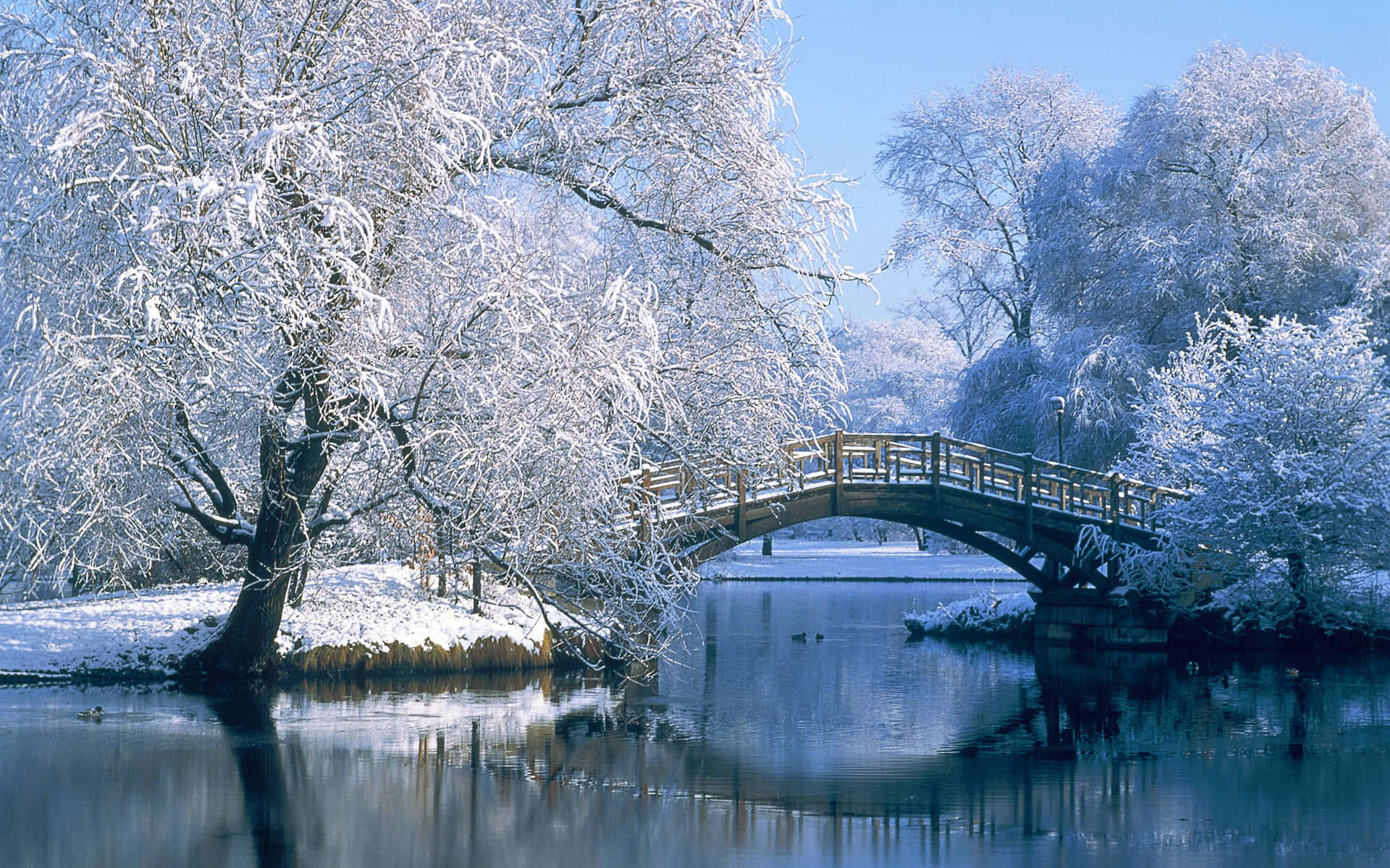 Enjoy picturesque winter weather surrounded by nature.
