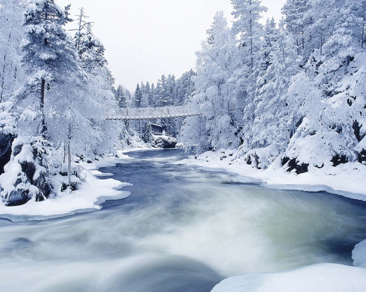 Capture the beauty of winter with this stunning snowscape.