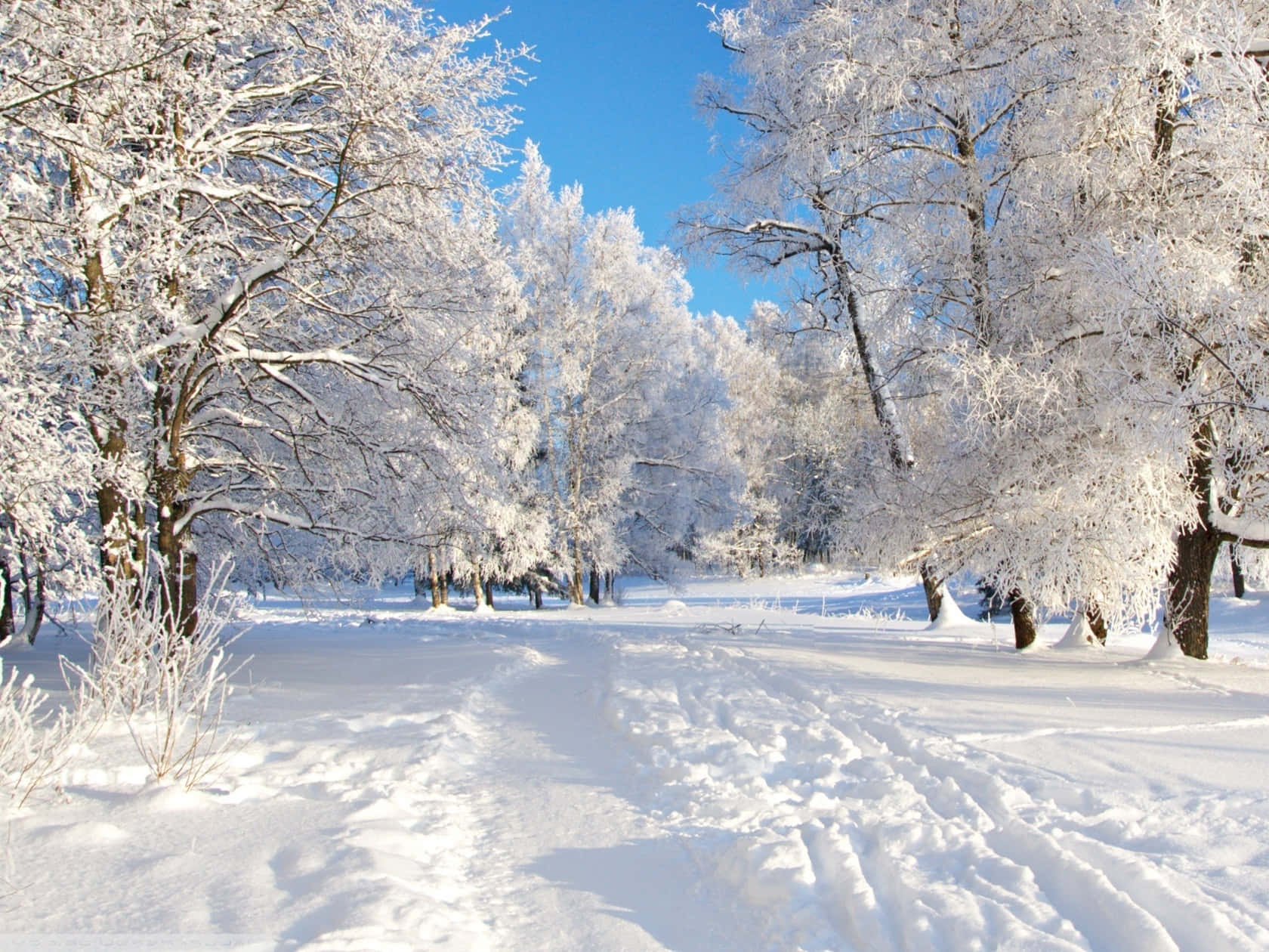 Migliorsfondo Invernale