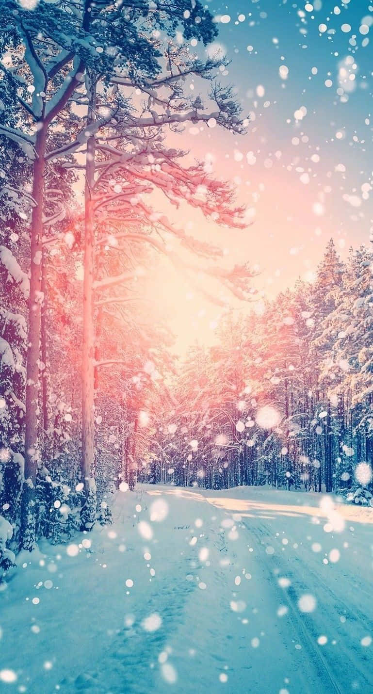 Light Snow is On The Way  Iphone wallpaper winter Christmas wallpaper  backgrounds Christmas lights wallpaper