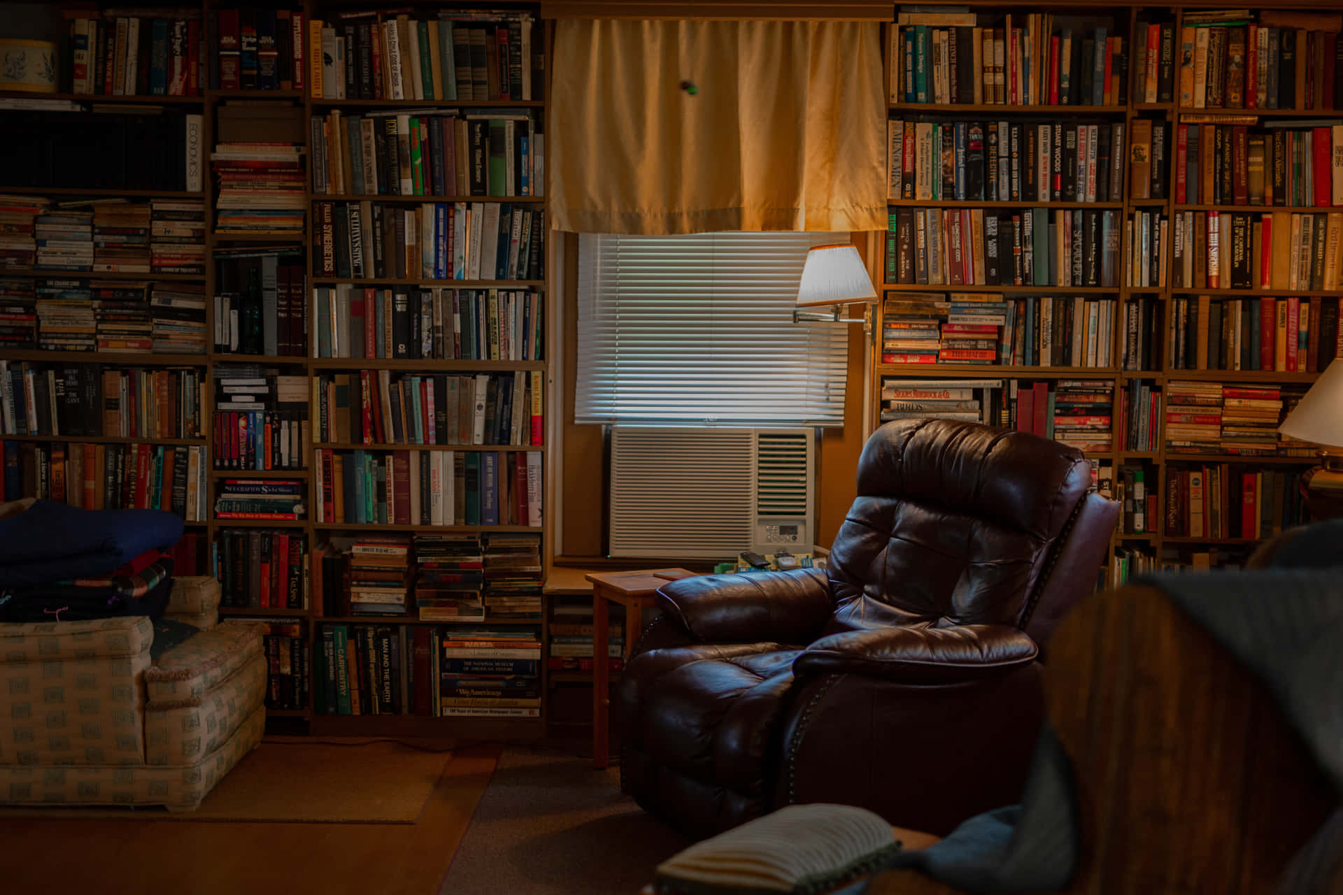 A Room With A Lot Of Books