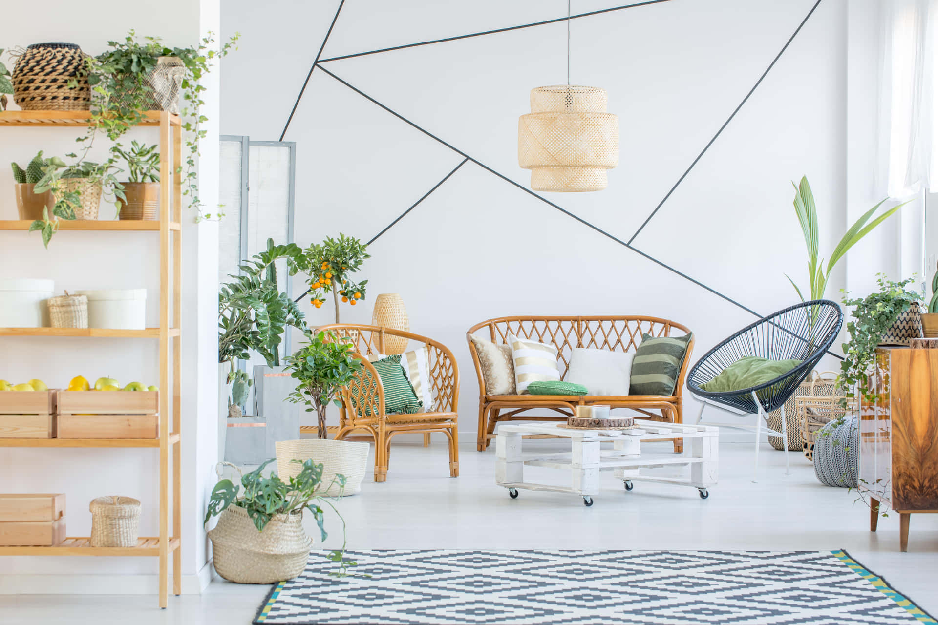 A Living Room With A Lot Of Plants And A White Wall