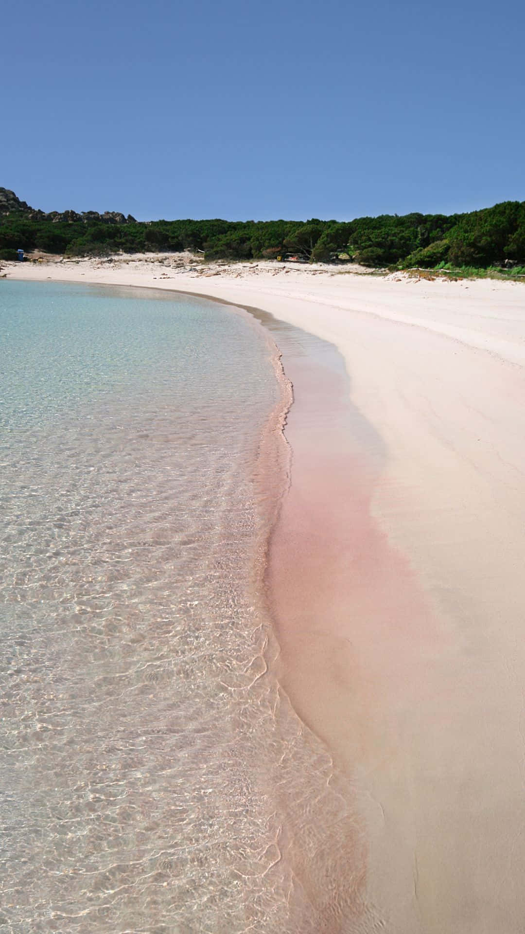 Betoverend Roze Strand Paradijs Achtergrond