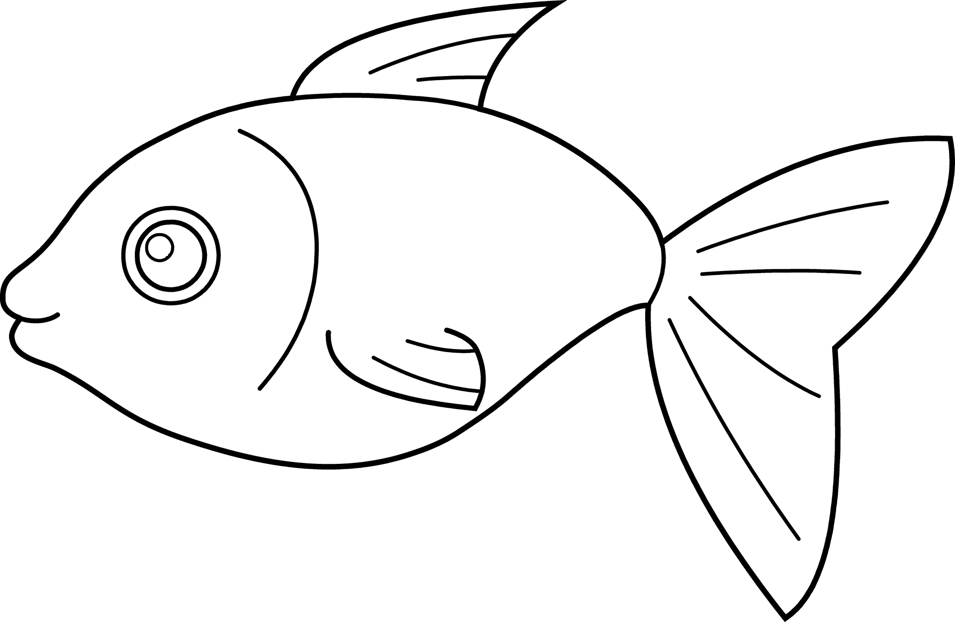 Betta Fish Line Art Illustration PNG