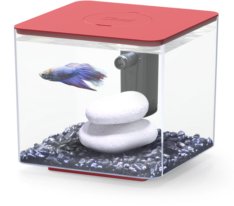 Betta Fishin Modern Aquarium PNG